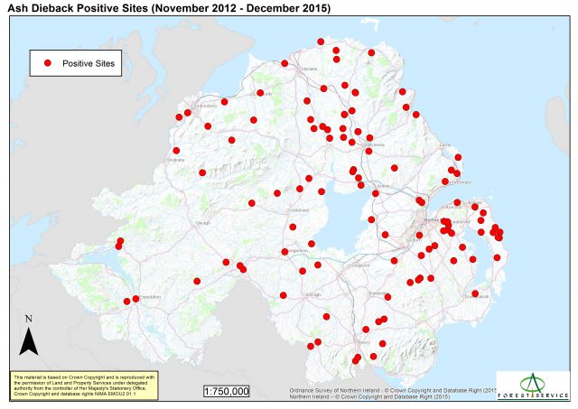 Ash dieback positive sites (November 2012-December 2015)