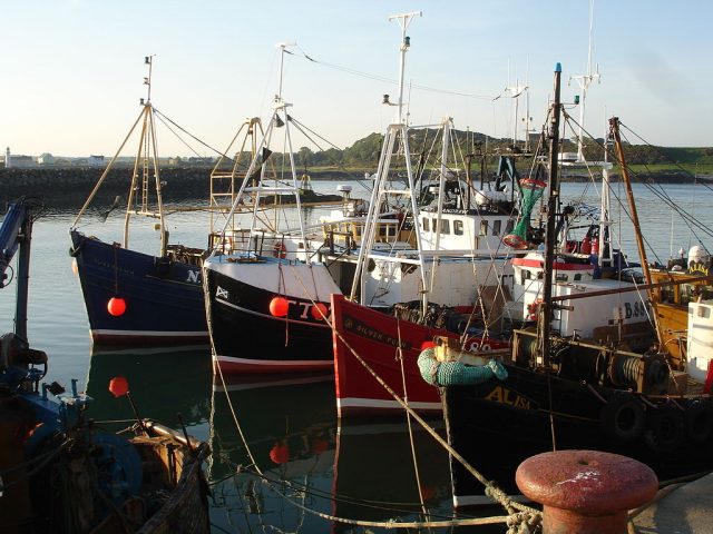 Fishing boats in Ardglass harbour (Image by Ardfern)