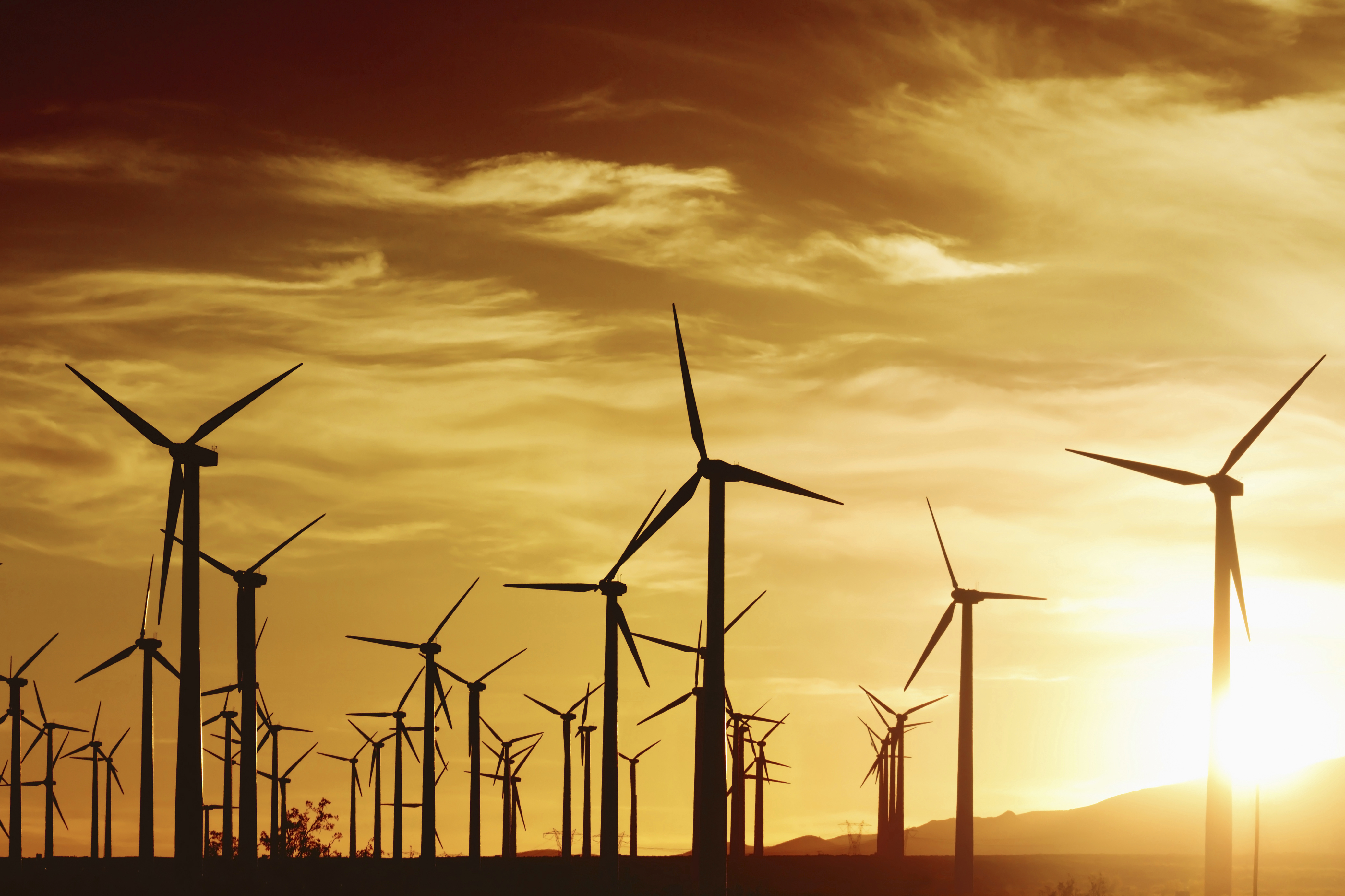 Image of wind farm in front of a setting sun