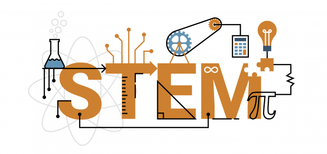 An illustration of STEM education word typography: strengthening the STEM ‘artery’ will require a range of approaches
