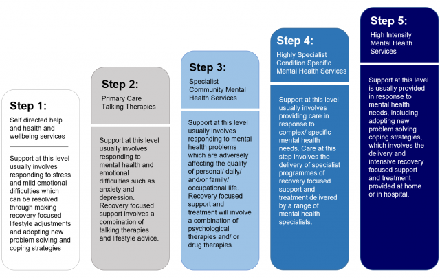 Image adapted from HSC’s Regional Mental Health Care Pathway