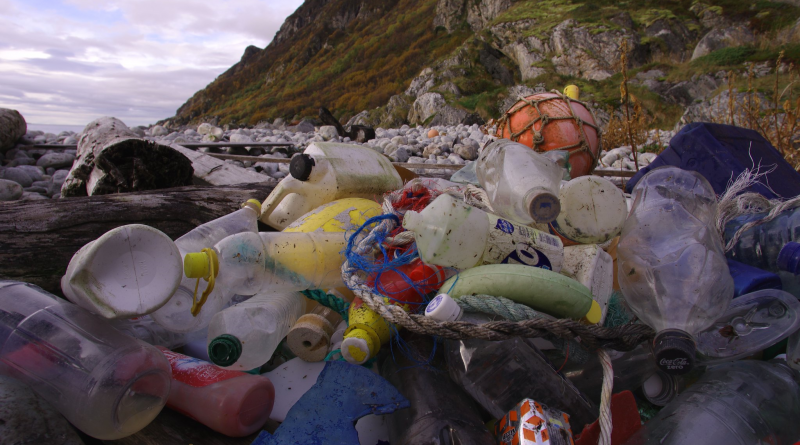 An image showing a large quantity of largely plastic on a beachmarine litter