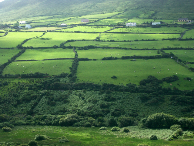 An image of a farming landscape in Ireland