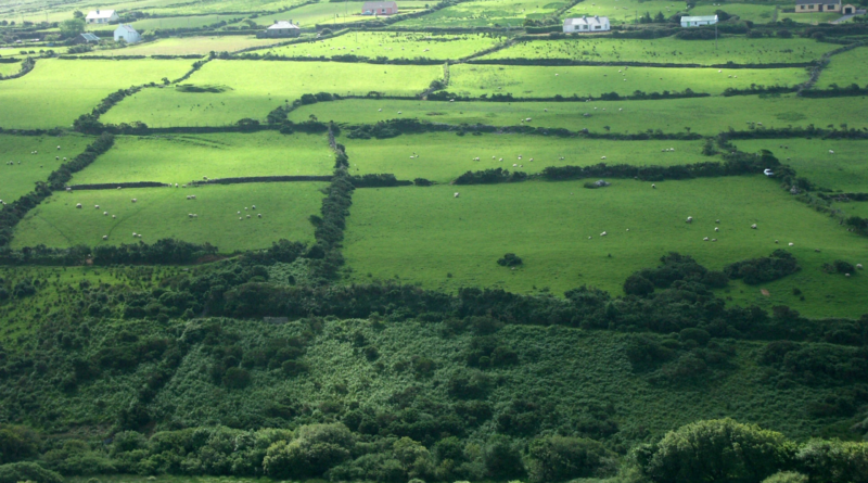 An image of a farming landscape in Ireland