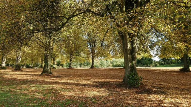 Stormont Estate in the autumn