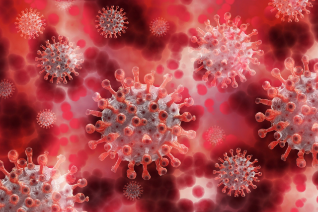 An image showing coronavirus