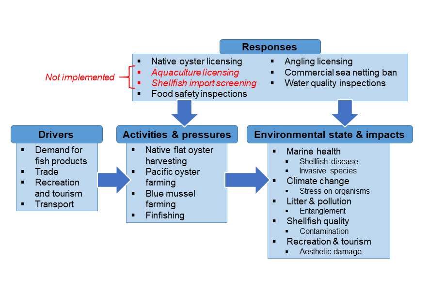 A graphic showing the drivers, activities, pressures, environmental state, social impacts and responses in Lough Foyle