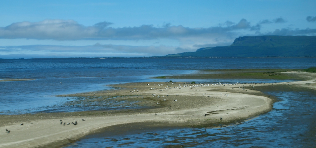 An image showing Lough Foyle