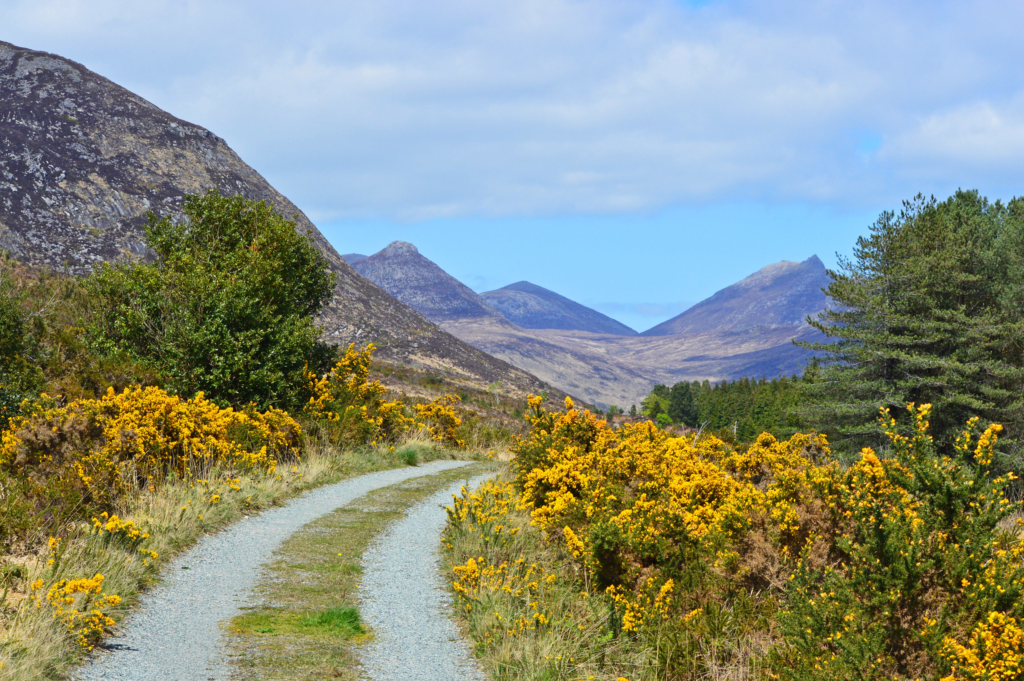 An image showing a ong road heading into the Mourne Mountains