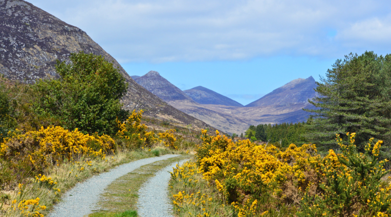 An image showing a ong road heading into the Mourne Mountains