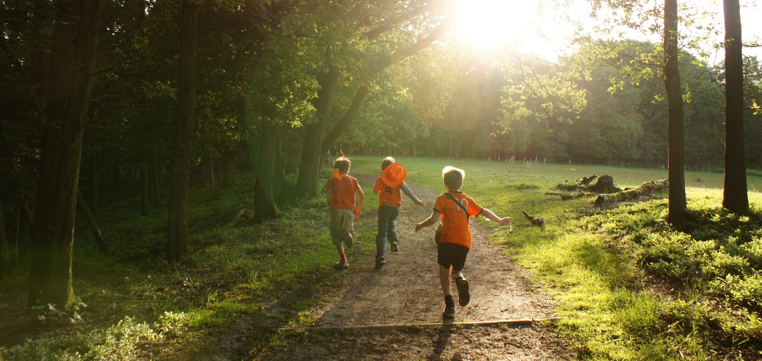 A photograph of some children running towards sunshine and trees.