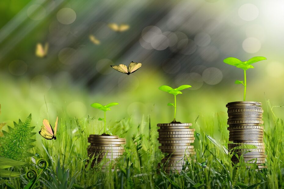 A picture showing piles of coins with small green plants growing out of each. Butterlies flutter in the background and lush green plants make up the foreground.